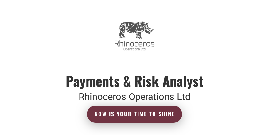 Payments Risk Analyst Rhinoceros Group