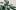 placeholder_18 placeholder_18