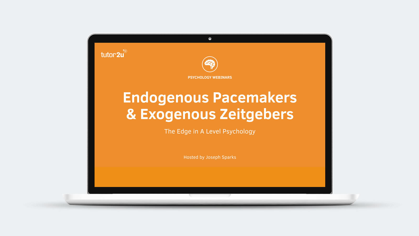 endogenous pacemakers exogenous zeitgebers essay endogenous pacemakers exogenous zeitgebers essay