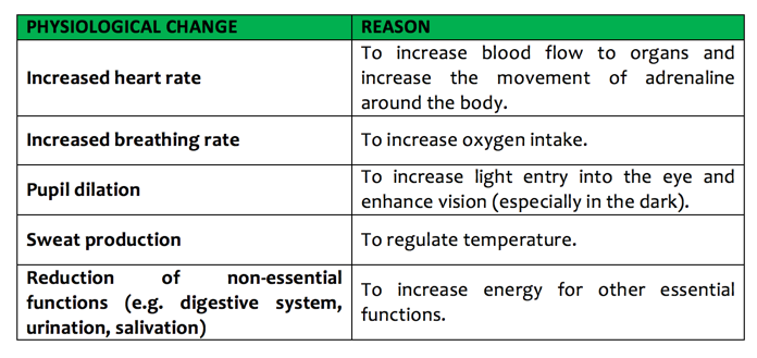 Stress Response Flow Chart