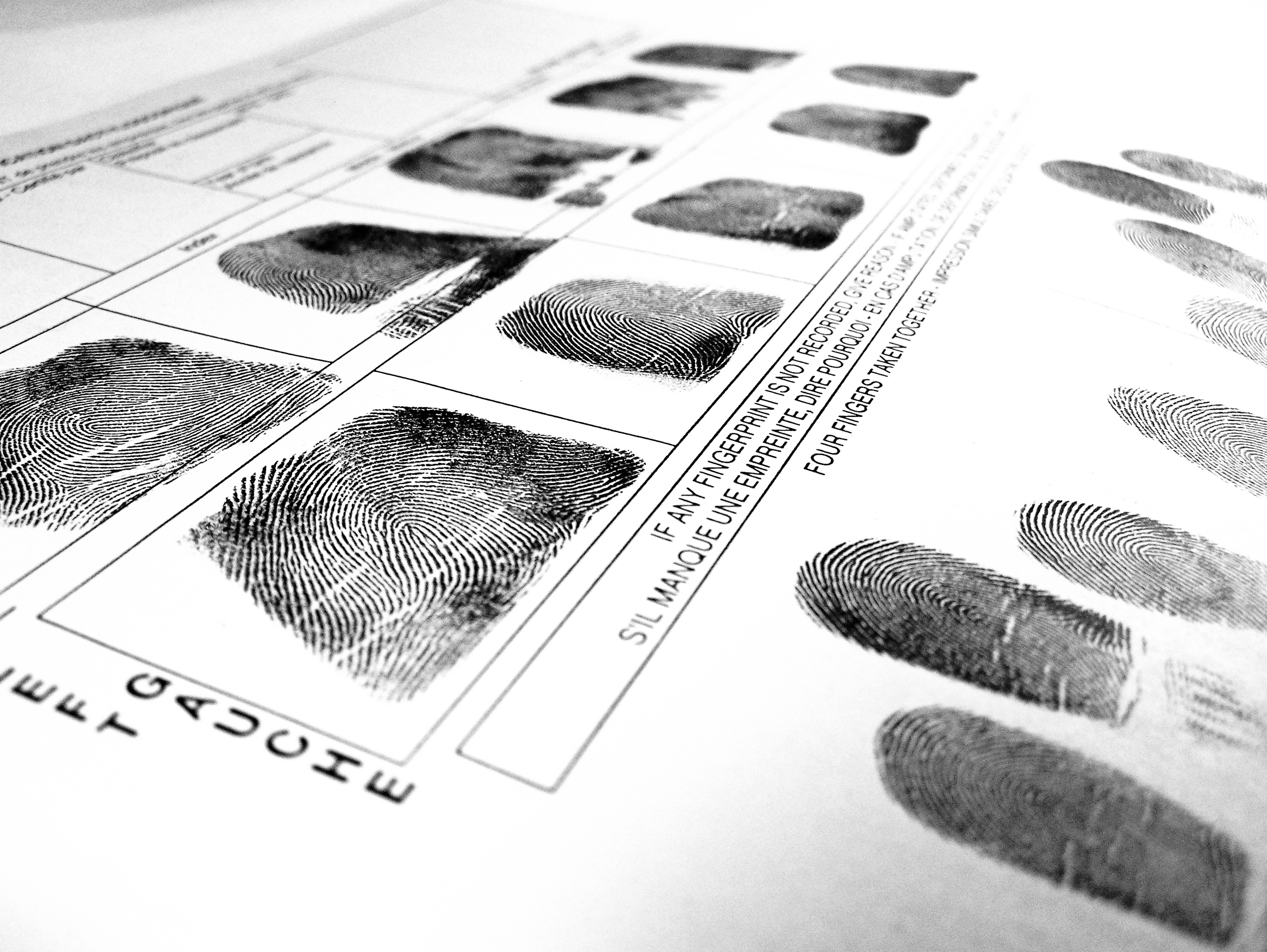 teamd cja204wk2 measuring crime paper teamd cja204wk2 measuring crime paper