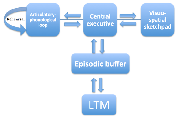 the relationship between working memory capacity Abstract this study examines the relationship between learners’ production of modified output and their working memory (wm) capacity the task-based interactions of 42 college-level, native. the relationship between working memory capacity Abstract this study examines the relationship between learners’ production of modified output and their working memory (wm) capacity the task-based interactions of 42 college-level, native.