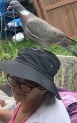 Trish, Tutor in Raynes Park