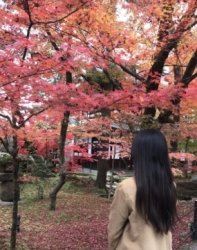 Yumi's profile picture