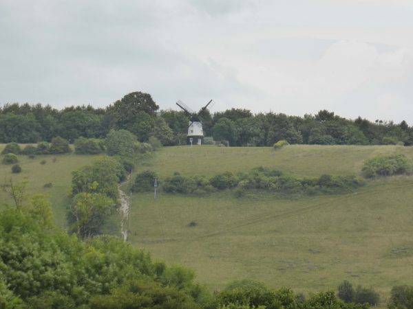 P1020959