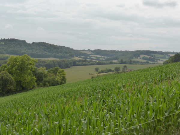 P1020962