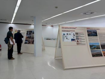 Persones veient l'exposici&oacute;. Foto: S&iacute;grid Aparicio