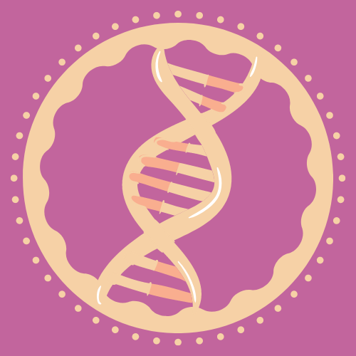 Les dones també són importants en Biologia