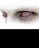 Benutzerbild von 5. Oberbefehlshaber Bornkiller Benutzerbild von 5. Oberbefehlshaber Bornkiller