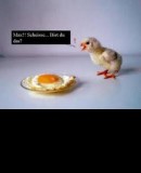 Benutzerbild von 5. Oberbefehlshaber MC-Wolti Benutzerbild von 5. Oberbefehlshaber MC-Wolti