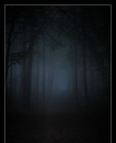 Truppenbild von DarkForest Truppenbild von DarkForest