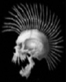Benutzerbild von 4. Oberbefehlshaber skunker Benutzerbild von 4. Oberbefehlshaber skunker