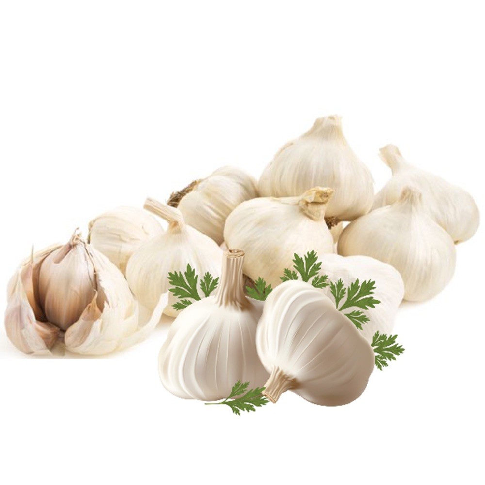 Loose Garlic, China, 1 KG Price | Buy Online in Dubai, UAE - Union Coop