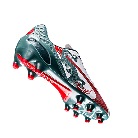 puma dragon puma dragon