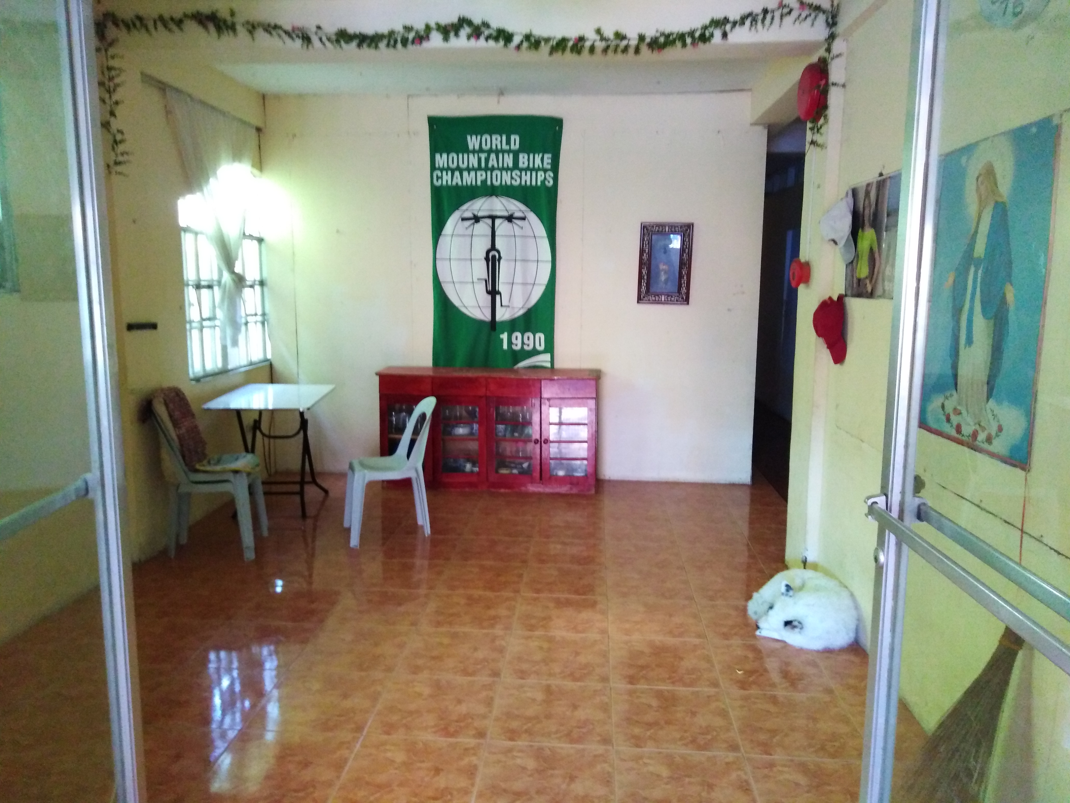 IMG_20190212_085434 (1).jpg