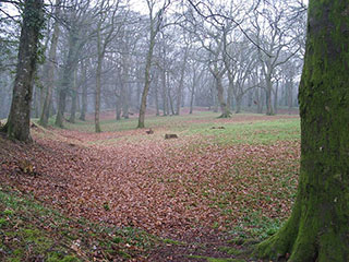 Blackbury Camp