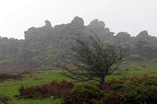 Hound Tor Deserted Medieval Village