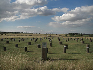 Woodhenge