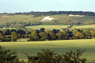 Whipsnade White Lion