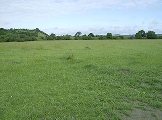 Cock Marsh