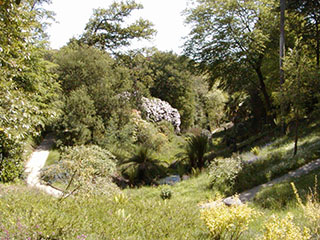 Glendurgan Garden