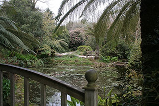 Trengwainton Garden