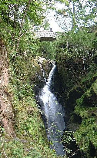 Aira Force