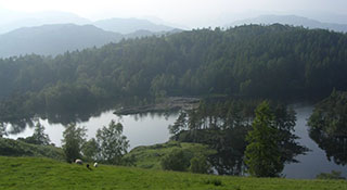 Tarn Hows