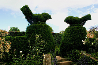 Hidcote