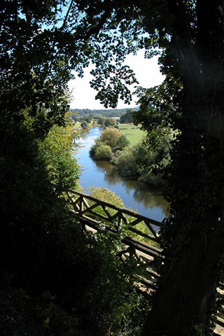 The Weir Garden