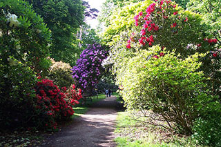 Sherringham Park