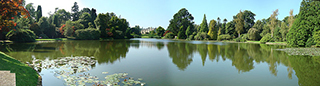 Sheffield Park and Garden