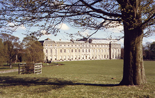 Petworth House and Park