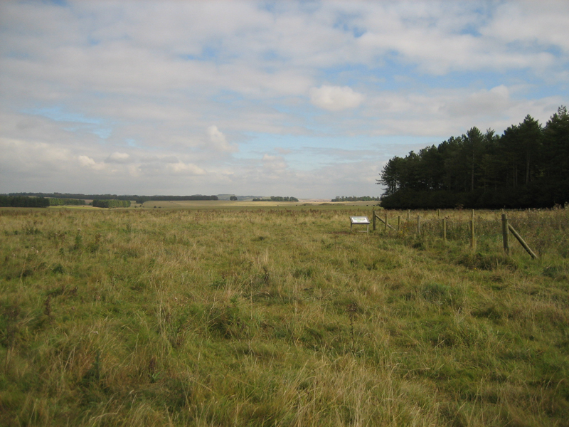 Stonehenge Cursus