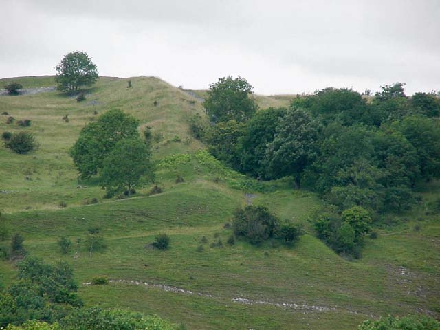 Dolebury Warren