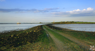 Northey Island