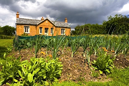 Rosedene