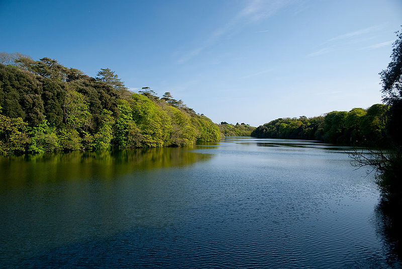 Bosherston Lily Ponds