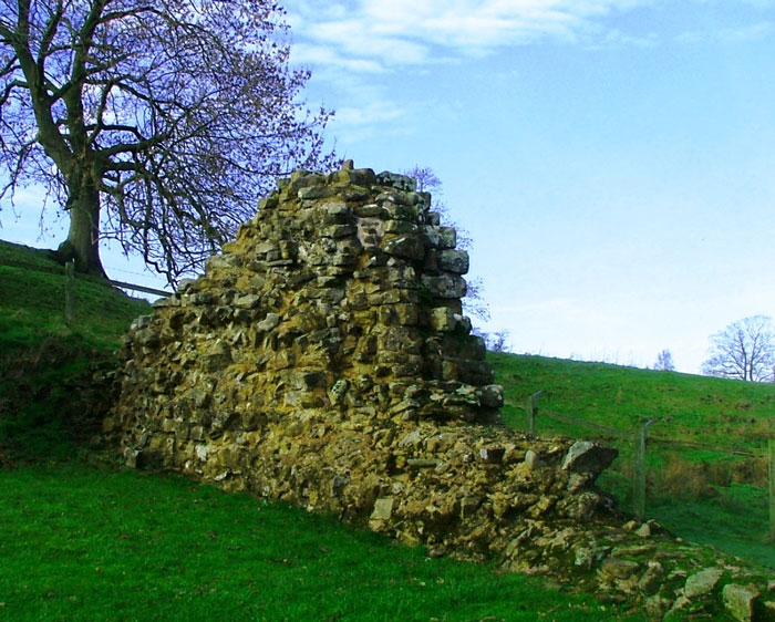Hare Hill