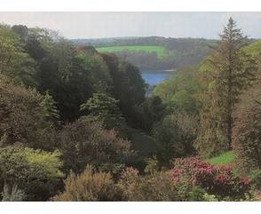 Trebah Garden