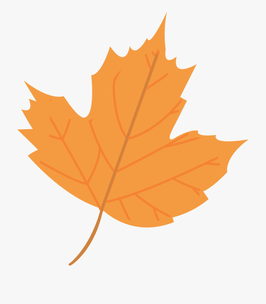 Plural nouns (Regular and Irregular) Baamboozle