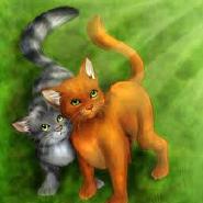 Catlady