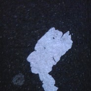 Zeckentodesengel