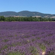 bonnieux