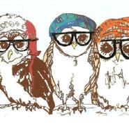 MissOwl