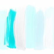 fenema