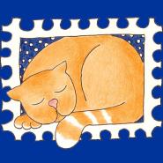 piraten-katze