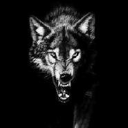 Lone_Wolf