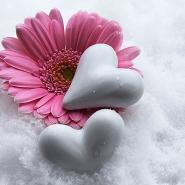 FrozenAngel2000