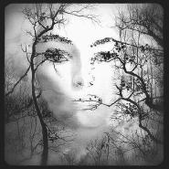 ladyImmortelle